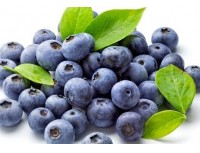 Blueberry P.E.