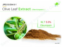 Olive Leaf  Extract