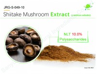 Shiitake Mushroom  Extract