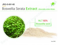 Boswellia Serata Extract