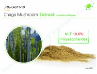 Chaga Mushroom Extract