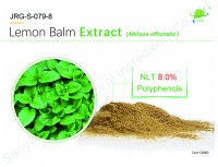 Lemon Balm Extract