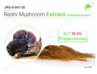 Экстракт грибов рейши