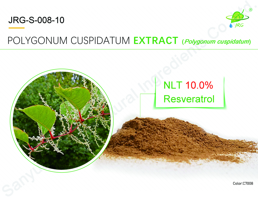 Polygonum Cuspidatum  Extract