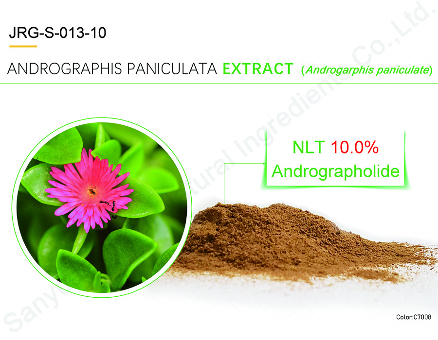 Andrographis Paniculata Extract