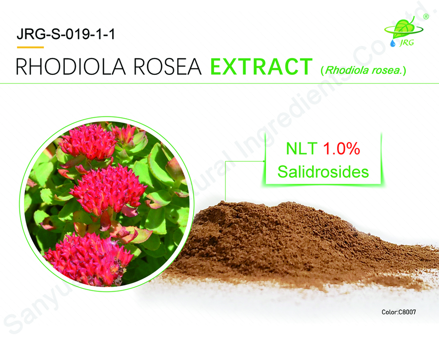 Rhodiola Rosea Extract