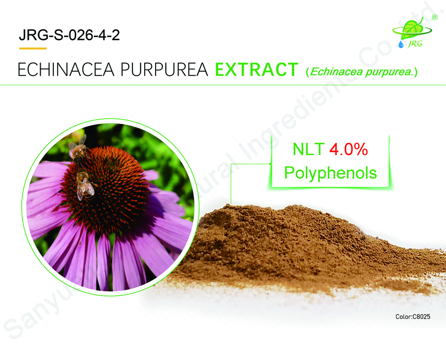 Echinacea Purpurea Extract