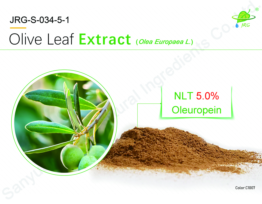 Olive Leaf  Extract
