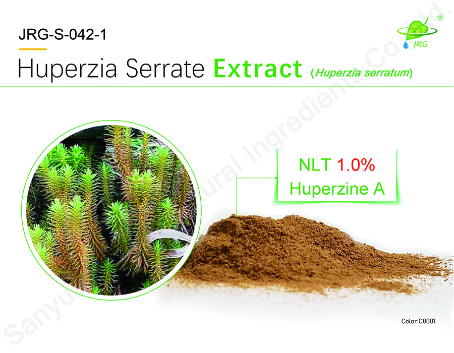 Huperzia Serrate Extract