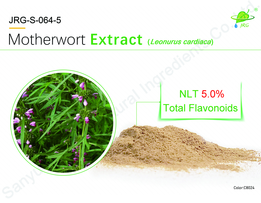 Motherwort Extract