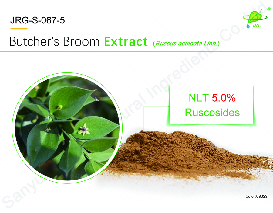 Butcher’s Broom Extract