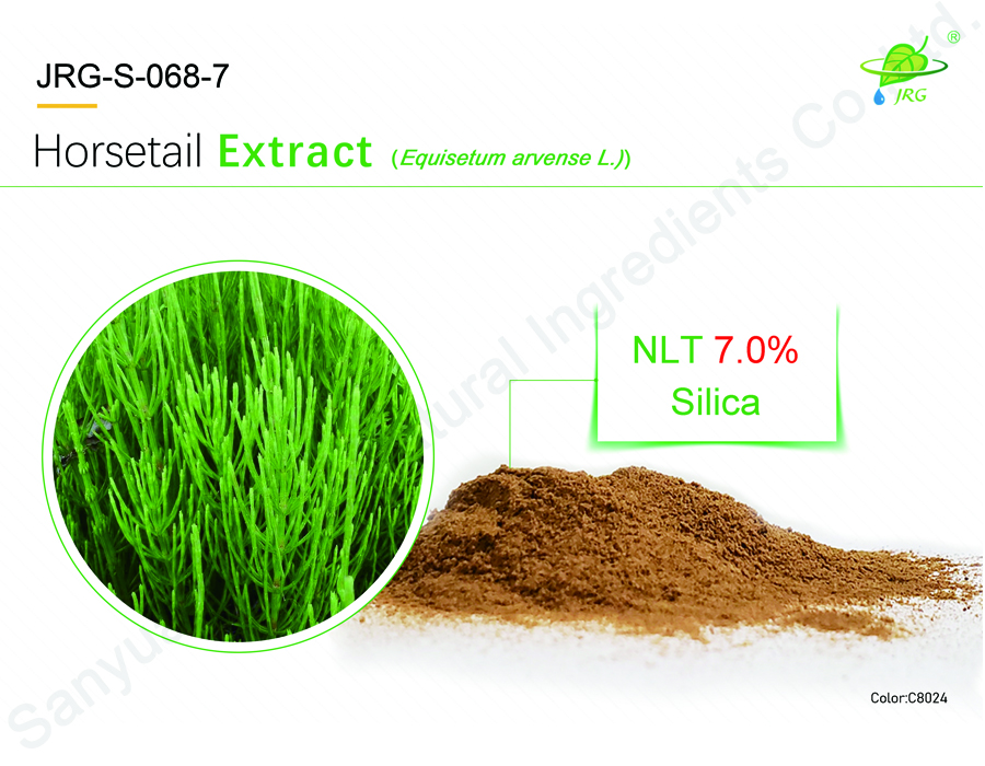 Horsetail Extract