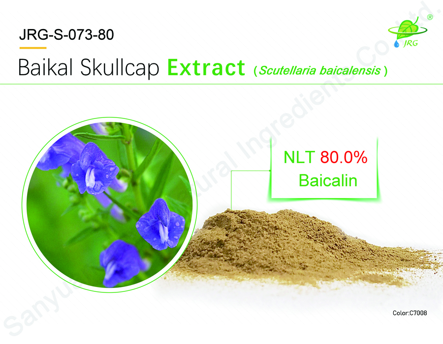 Baikal Skullcap Extract