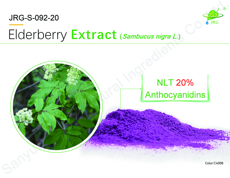 Elderberry Extract