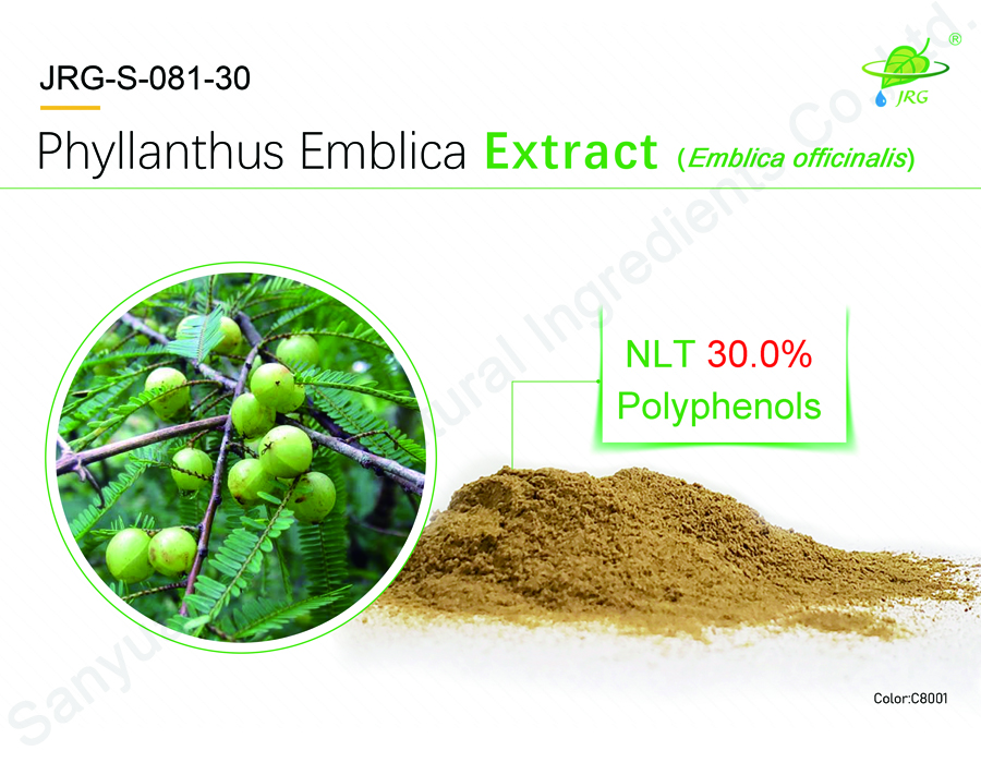 Экстракт Phyllanthus Emblica